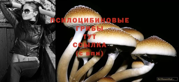 прущая мука Инта