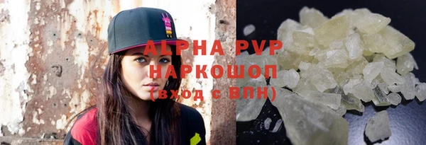 прущие грибы Зерноград