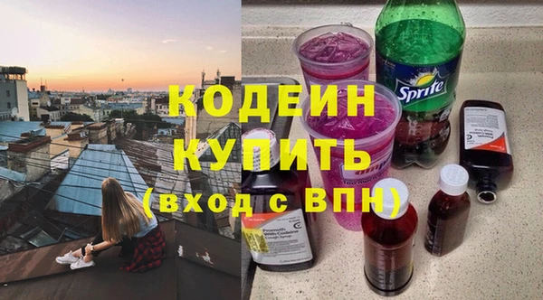 мяу мяу мука Иннополис