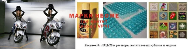мяу мяу мука Иннополис