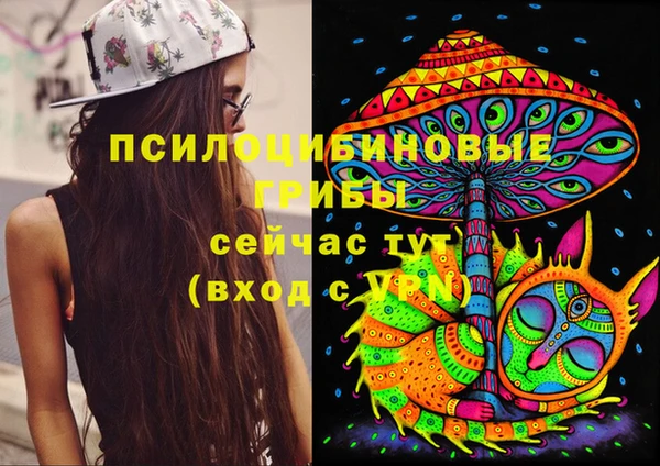 мяу мяу мука Иннополис