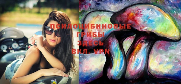 прущая мука Инта