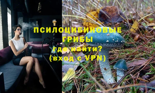 COCAINE Инсар