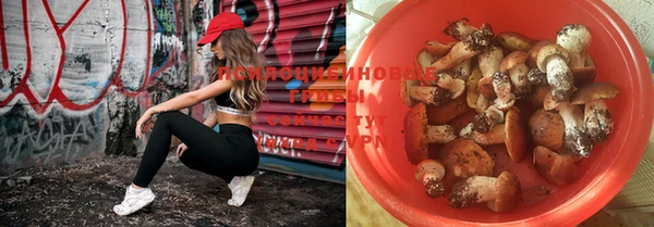 прущая мука Инта