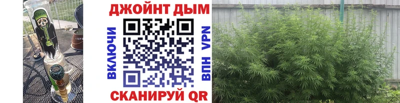 Купить закладки  Межгорье  Бошки марихуана план 